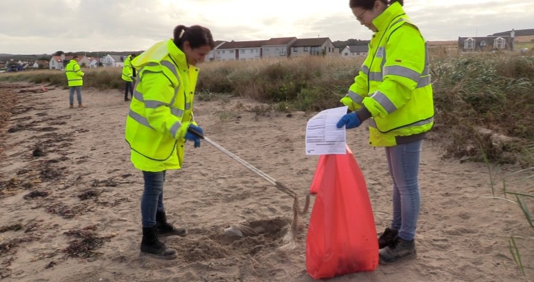 Beach cleanup2 - 775 x 410